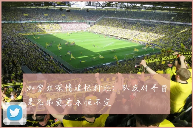 加索尔深情追忆科比：队友对手皆是兄弟爱意永恒不变