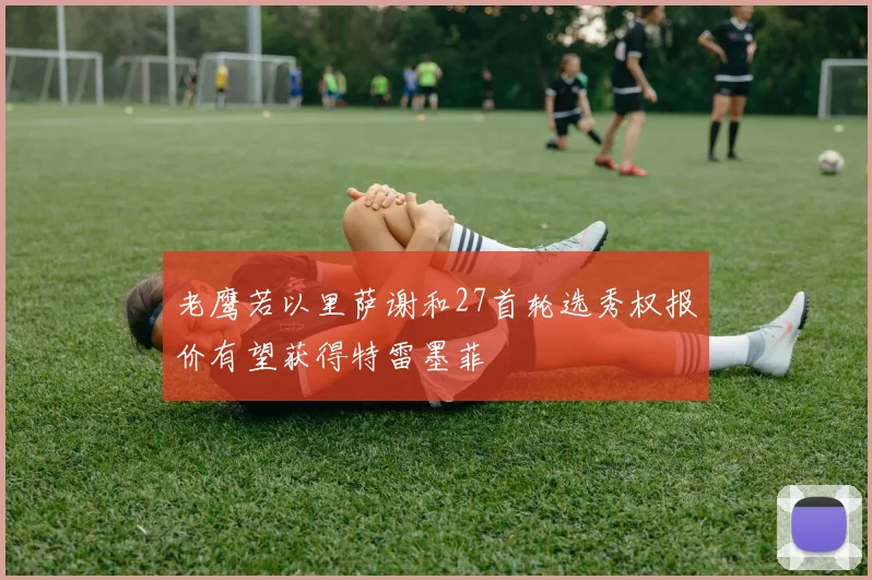 老鹰若以里萨谢和27首轮选秀权报价有望获得特雷墨菲