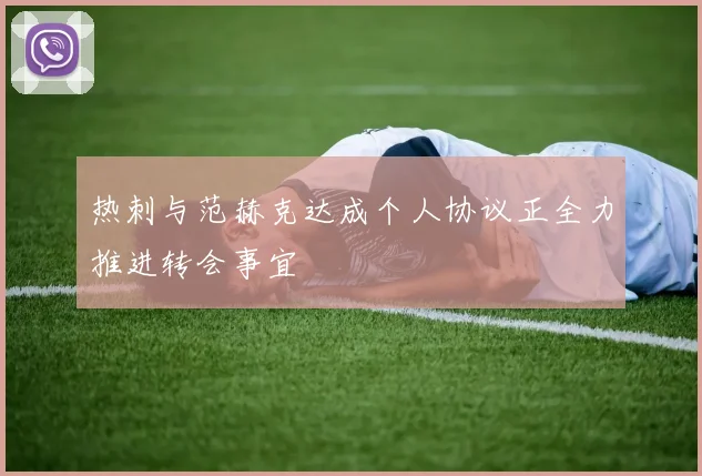 热刺与范赫克达成个人协议正全力推进转会事宜