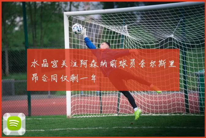 水晶宫关注阿森纳前球员奈尔斯里昂合同仅剩一年
