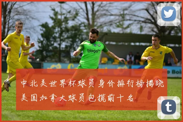 中北美世界杯球员身价排行榜揭晓美国加拿大球员包揽前十名