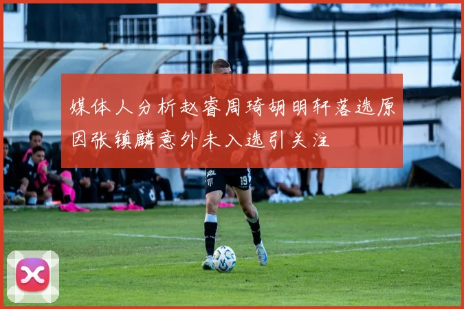媒体人分析赵睿周琦胡明轩落选原因张镇麟意外未入选引关注